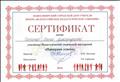 Сертификат участника Педагогической творческой мастерской "Панорама успеха"